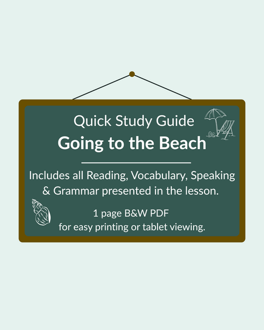 Going to the Beach - Quick Study Guide (Individual)